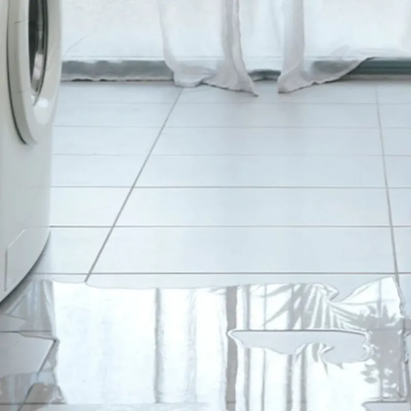 Appliance Leak Cleanup in Geneva, NY